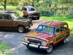 Thumbnail Photo 0 for New 1989 Jeep Grand Wagoneer